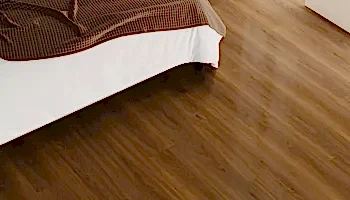 Kaçkar Meşe - 5016